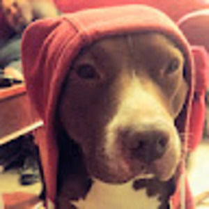 Meet your Posher, Becky